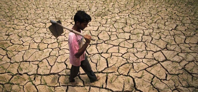 refugiados climáticos 2