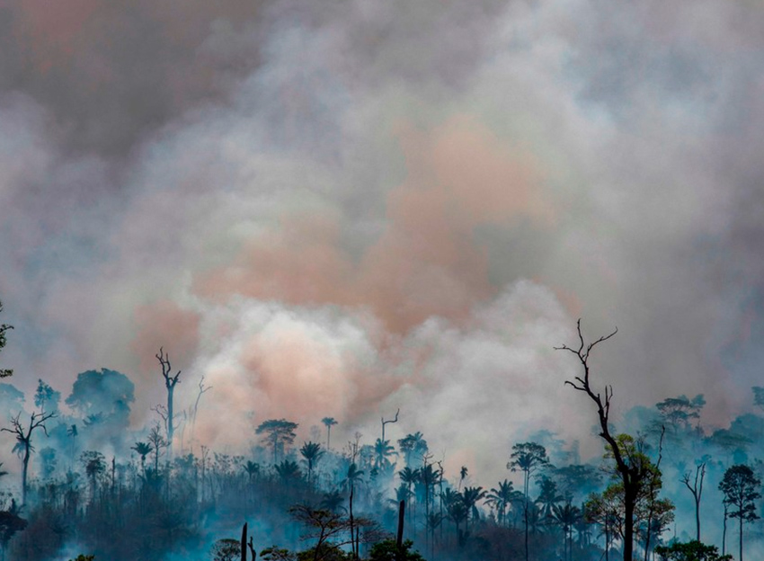 la destrucción de la naturaleza