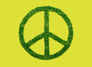 Pacifismo y ecologismo en la lucha política contemporánea