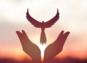 Las guerras actuales y el futuro de la paz mundial